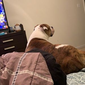 Meet your Posher, Moses